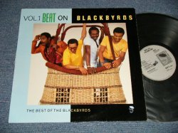 画像1: BLACKBYRDS - THE BEST OF BLACKBYRDS VOL.1 BEAT ON (Ex++Ex++) / 1988 UK ENGLAND ORIGINAL Used LP 