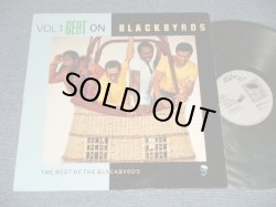 画像1: BLACKBYRDS - THE BEST OF BLACKBYRDS VOL.1 BEAT ON (Ex++Ex++) / 1988 UK ENGLAND ORIGINAL Used LP 