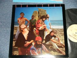 画像1: SEA LEVEL (CHUCK LEAVELL of ALLMAN BROS.) - CATS ON THE COAST (Ex+++/MINT-) / 1977 US AMERICA ORIGINAL "With CUSTOM INNER" Used LP 