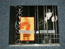 画像1: STEVE HOWE (YES) - MOTHABALLS (MINT-/MINT) / 1994 UK ENGLAND ORIGINAL Used CD