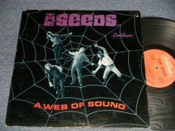 画像1: The SEEDS - A WEB OF SOUND (Ex+/VG+++) / 1966 US AMERICA ORIGINAL STEREO Used LP 