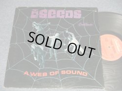 画像1: The SEEDS - A WEB OF SOUND (Ex+/VG+++) / 1966 US AMERICA ORIGINAL STEREO Used LP 