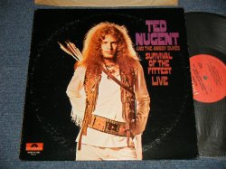 画像1: TED NUGENT and The AMBOY DUKES  - SURVIVAL OF THE FITTEST LIVE  (Matrix #A) 24-4035-A  IAM STERLING RL  B) 24-4035-B  IAM ) (Ex+/MINT-) / 1970 US AMERICA ORIGINAL Used LP