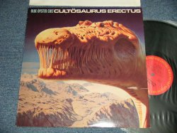 画像1: BLUE OYSTER CULT Blue Öyster Cult - CULTOSAURUS ERECTUS (Ex+++/MINT-) / 1980 US AMERICA ORIGINAL Used LP
