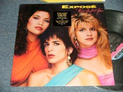 画像1: EXPOSE - WHAT YOU  DON'T KNOW (MINT/MINT-) / 1989 US AMERICA ORIGINAL Used LP 