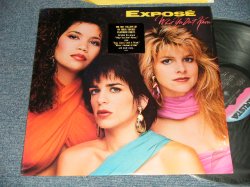 画像1: EXPOSE - WHAT YOU  DON'T KNOW (MINT/MINT-) / 1989 US AMERICA ORIGINAL Used LP 