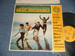 画像1: BEAU BRUMMELS - INTRODUCING (Ex/Ex+ Looks:Ex WOFC) / 1965 US AMERICA ORIGINAL "MONO CREDIT on LABEL" "MONO" Used LP