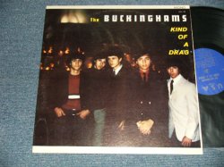 画像1: The BUCKINGHAMS - KIND OF A DRAG (Ex++/Ex+++ Looks:Ex+) /1967 US AMERICA ORIGINAL MONO Used LP