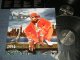 NAS - STILLMATIC (MINT-/MINT-) / 2001 US AMERICA ORIGINAL Used 2-LP's 