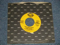 画像1: LYNYRD SKYNYRD - A) SWEET HOME ALABAMA  B) TAKE YOUR TIME  (Ex+++/Ex+++) / 1974 US AMERICA ORIGINAL Used 7" Single 