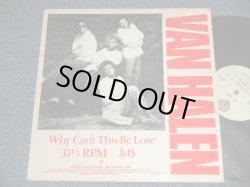 画像1: VAN HALEN - WHY CAN'T THIS BE LOVE  (Ex++/Ex++ Looks:MINT-~Ex+++) /1986 US AMERICA ORIGINAL "PROMO ONLY" Used 12" 