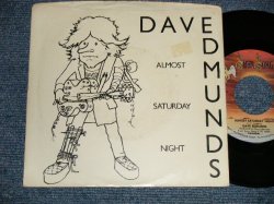 画像1: DAVE EDMUNDS - A) ALMOST SATURDAY NIGHT  B) YOU'LL NEVER GET ME UP (Ex++/Ex+++) / 1981 US AMERICA ORIGINAL Used 7" 45rpm Single  With PICTURE SLEEVE