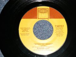 画像1: MARVIN GAYE - A) AFTER THE DANCE  B) FEEL ALL MY LOVE INSIDE (MINT-/MINT-) / 1976 US AMERICA ORIGINAL Used 7" 45 rpm Single  