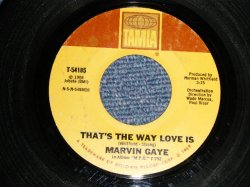 画像1: MARVIN GAYE - A) THAT'S THE WAY LOVE IS  B) GONNA KEEP ON TRYIN' TILL I WIN YOUR LOVE (Ex+/Ex++ STOL) / 1969 US AMERICA ORIGINAL Used 7" 45 rpm Single  