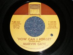 画像1: MARVIN GAYE - A) HOW CAN I FORGET  B) GONNA GIVE HER ALL THE LOVE I'VE GOT（Ex+++/Ex++ BB) / 1968 US AMERICA ORIGINAL Used 7" 45 rpm Single  