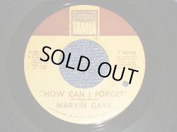 画像1: MARVIN GAYE - A) HOW CAN I FORGET  B) GONNA GIVE HER ALL THE LOVE I'VE GOT（Ex+++/Ex++ BB) / 1968 US AMERICA ORIGINAL Used 7" 45 rpm Single  