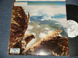 画像1: HOMETOWN BAND - FLYING (Ex++MINT- BB For PROMO, STOFC, STOL) / 1976 US AMERICA ORIGINAL "WHITE LABEL PROMO"" Used LP 
