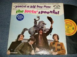 画像1: LOVIN' SPOONFUL - YOU'RE A BIG BOY NOW (Ex+/Ex+ Looks:Ex  BB) / 1967 US AMERICA ORIGINAL MONO Used LP