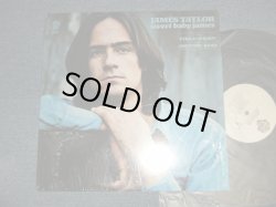 画像1: JAMES TAYLOR - SWEET BABY JAMES : NO POSTER SONG SHEET : 2nd Press "TITLE Credit" on Front Cover (Matrix #A)WS-1-1843 WW8 IF3 SP --◁　1-1 Y B)WS-2-1843 WW6 IF3 SP --◁　1-1) "WINCHESTER Press" (MINT-/Ex++) / 1980's Version US AMERICA 4th Press "WHITE Label" Used LP