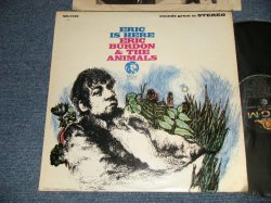 画像1: ERIC BURDON and The ANIMALS - ERIC IS HERE (Ex+/Ex+ STAPLE HOLE) / 1967 US AMERICA ORIGINAL STEREO Used LP 
