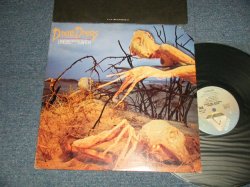 画像1: DIXIE DREGS - DRESS OF THE EARTH (Ex++/MINT- CUTOUT for PROMO) / 1980 US AMERICA ORIGINAL "PROMO" Used LP 