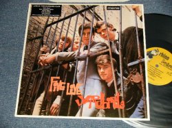 画像1: THE YARDBIRDS  - FIVE LIVE YARDBIRDS (MINT/MINT- / 1988 US AMERICA REISSUE Used LP