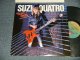 SUZI QUATRO - ROCK HARD : With CUSTOM INNER (Ex+++/MINT-) / 1980 US AMERICA ORIGINAL Used LP 