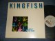 KINGFISH (BOB WEIR of GRATEFUL DEAD) - LIVE AT THE ROXY (Ex+++/MINT-) / 1981 US AMERICA ORIGINAL Used LP 