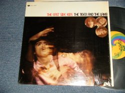 画像1: The EAST SIDE KIDS - THE TIGER AND THE LAMB (MINT-/MINT-) / 1968 US AMERICA ORIGINAL Used LP 