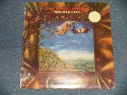 画像1: MAD LADS - A NEW GEGINNING (SEALED) / 1973 US AMERICA  ORIGINAL "BRAND NEW SEALED" LP