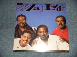 画像1: MAD LADS - MADDER THAN EVER (SEALED BB) / 1990 US AMERICA  ORIGINAL "BRAND NEW SEALED" LP