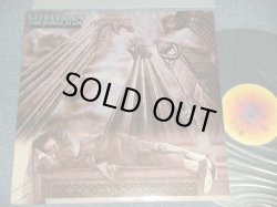 画像1: STEELY DAN - THE ROYAL SCAM (Matrix #A)|S ABCD-931-A 1D  AZ  E3 B)AB-931-B -1A AZ  E2) "SANTA MARIA Press in CA" (Ex++/Ex+++ A-1,B-2:Ex++ STEAROFC)  / 1976 US AMERICA ORIGINAL 1st Press "MULTI Color YELLOW TARGET Label" Used LP 