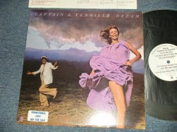 画像1: CAPTAIN & TENNILLE - DREAM (Ex++/MINT-) / 1978 US AMERICA ORIGINAL "With CUSTOM INNER SLEEVE" "WHITE LABEL PROMO" Used LP
