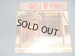 画像1: THE CRAMPS - SMELL OF FEMALE (SEALED) /  UK ENGLAND REISSUE "BRAND NEW SEALED"  LP