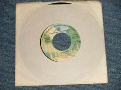 画像1: FRANK ZAPPA  of THE MOTHERS OF INVENTION - DISCO BOY  A)MONO   B)STEREO (Ex+++/Ex+++) / 1976 US AMERICA ORIGINAL "PROMO ONLY SAME FLIP MO/ST" Used 7"Ｓingle