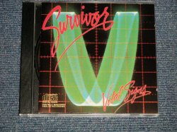 画像1: SURVIVOR - VITAL SIGNS (Ex+++/MINT) / 1991 US AMRERICA ORIGINAL Used CD