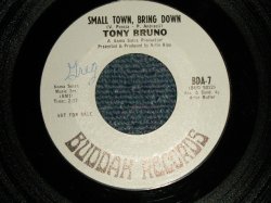 画像1: TONY BRUNO - A)Small Town, Bring Down   B)Helaina (Ex+++/Ex+++ WOL) 1967 US AMERICA ORIGINAL "WHITE LABEL PROMO" Used 7" 45 rpm Single  