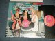 The PUPPINI SISTERS - The HIGH LIFE (MINT/MINT) / 2016 UK ENGLAND ORIGINAL Used LP