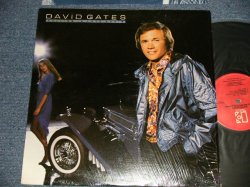 画像1: DAVID GATES (of BREAD) - FALLING IN LOVE AGAIN (MINT-/MINT) / 1980 US AMERICA ORIGINAL Used LP 