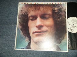 画像1: TONY BIRD - BIRD OF PARADISE (Ex++/MINT-)  / 1978 CANADA ORIGINAL Used LP