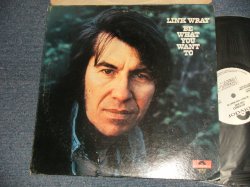 画像1: LINK WRAY - BE WHAT YOU WANT TO (Ex++/Ex+++) / 1973 US AMERICA ORIGINAL "WHITE LABEL PROMO" Used LP 