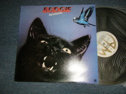 画像1: BUDGIE - IN PACKABLE (Ex+++/MINT) / 1978 AUSTRALIA ORIGINAL Used LP 