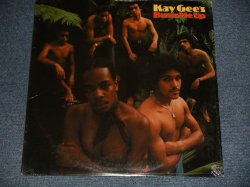 画像1: KAY GEE'S / KAY-GEE'S - BUN ME UP (MINT-/MINT-) / 1979 US AMERICA ORIGINAL Used LP