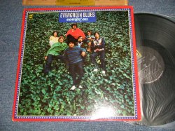 画像1: EVERGREEN BLUES - COMIN' ON (Ex++/MINT-) / 1969 US AMERICA ORIGINAL Used LP 