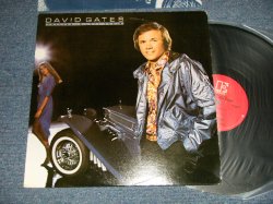 画像1: DAVID GATES (of BREAD) - FALLING IN LOVE AGAIN (Ex+++/Ex+++) / 1980 US AMERICA ORIGINAL Used LP 