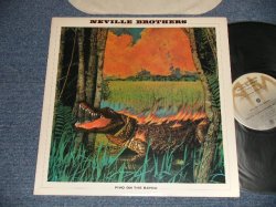 画像1: NEVILLE BROTHERS - FIYO ON THE BAYOU (Ex+++/MINT-) / 1981 US AMERICA ORIGINAL Used LP
