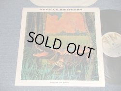 画像1: NEVILLE BROTHERS - FIYO ON THE BAYOU (Ex+++/MINT-) / 1981 US AMERICA ORIGINAL Used LP