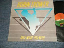 画像1: ROBIN TROWER -TAKE WHAT YOU NEED (Ex+/Ex++ Looks:MINT-) / 1988 US AMERICA ORIGINAL Used LP