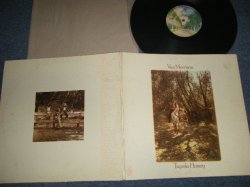 画像1: VAN MORRISON - TUPELO HONEY(Ex++/MINT- EDSP) / 1975-6 Version US AMERICA 3rd Press "BURBANKSTREET with 'W' AT BOTTOM Label"  Used LP 