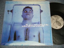 画像1: OS CATALEPTICOS / Os Catalépticos - ZOMBIFICTION  (MINT-/MINT-) / 2000 GERMAN ORIGINAL Used LP 